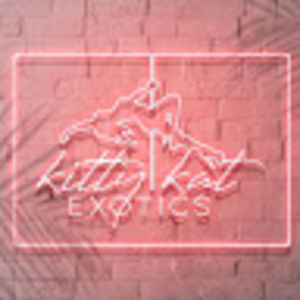 Meet your Posher, Kittykat